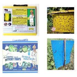 Chipku A4 Size Yellow & Blue Sticky Traps Of  200 x 300mm(Pack-10 Pcs)